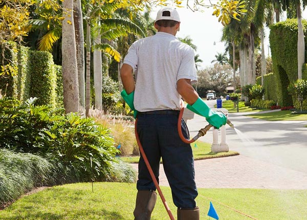 About Gilberts IL Pest Control Pros